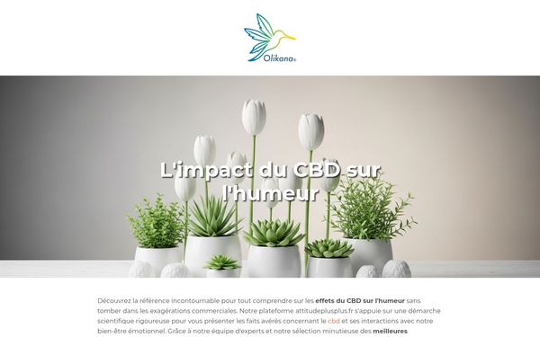 attitudeplusplus.fr — CBD et humeur : ce qu’on peut dire sans exagérer